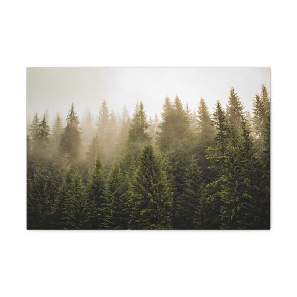 Misty Pine Tree Forest Nature Wilderness Photography Canvas Wall Art for Home De